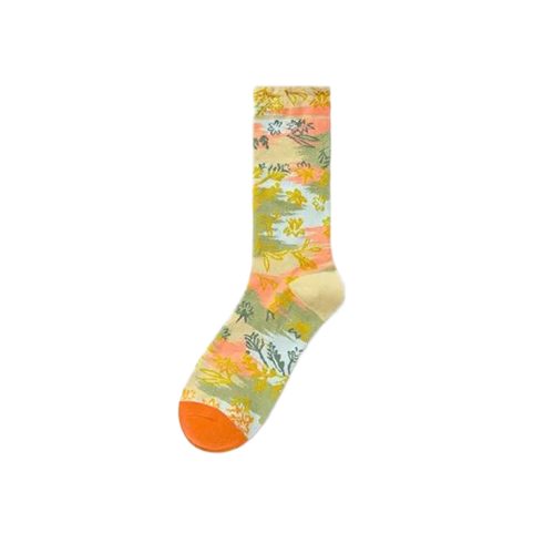 花袜子6-5